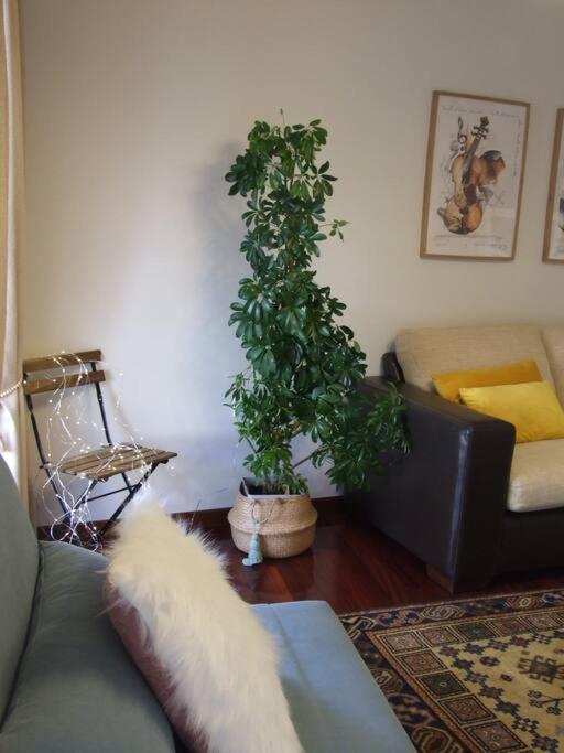 Apartament Elduayen Luxury Centro Vigo Zewnętrze zdjęcie